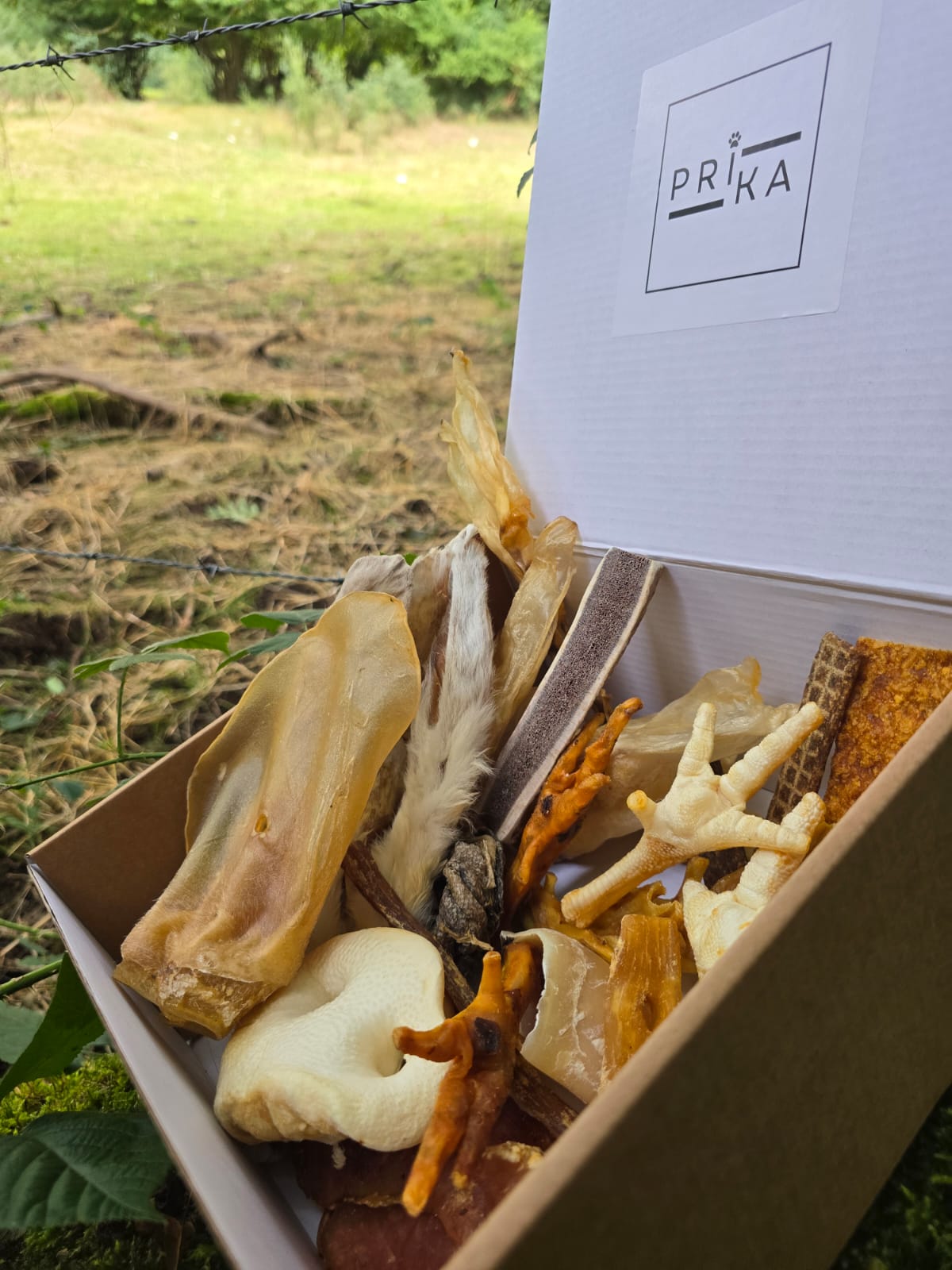 Box de Mastications pour Petits Chiens