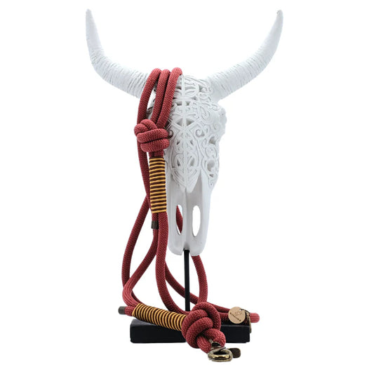 BioThane Hands-Free Leash