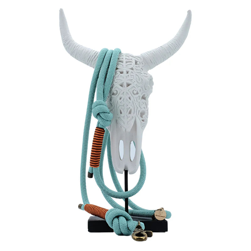 Laisse Main Libre en paracorde