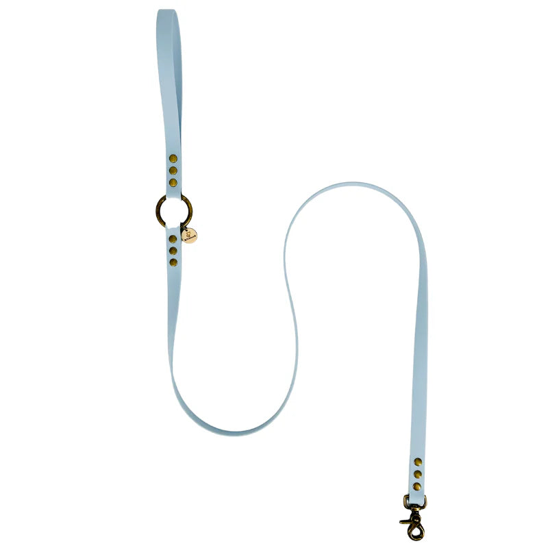 Laisse en BioThane® Classique