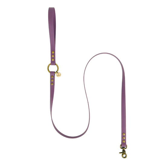 Classic BioThane® Leash