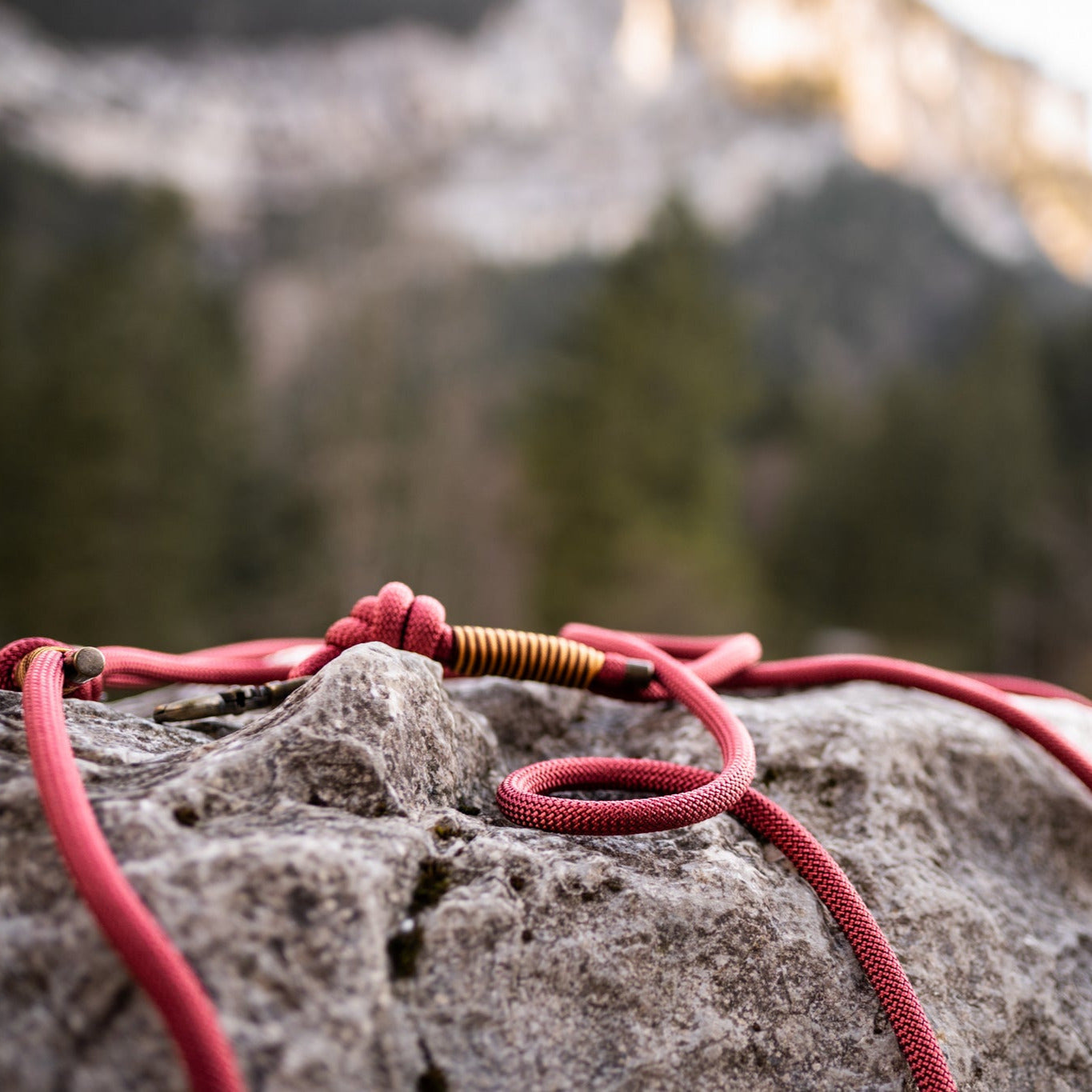 BioThane Hands-Free Leash