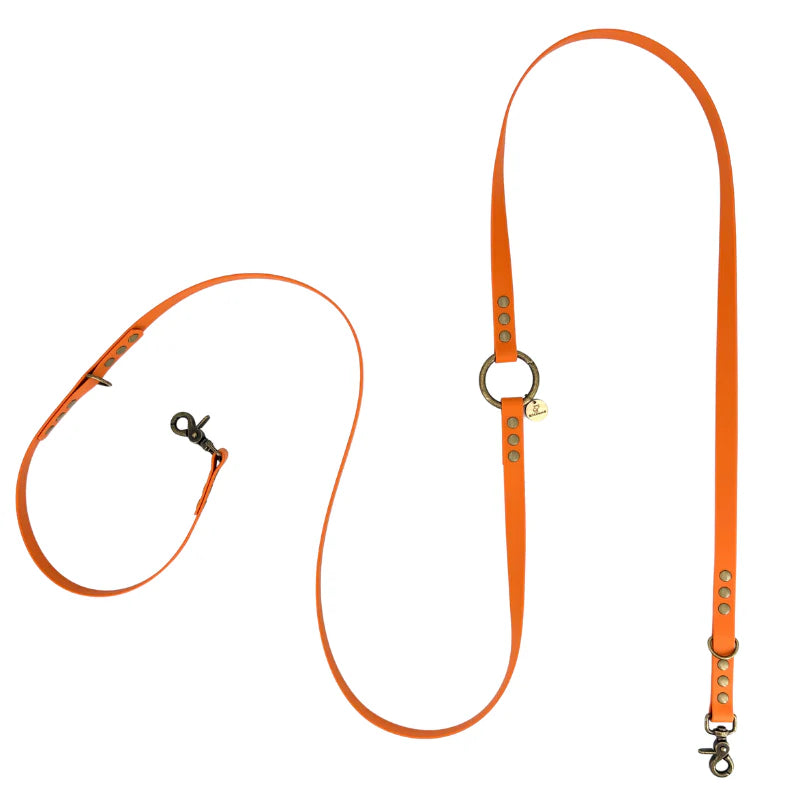 Laisses Multi-positions en Biothane pour Chiens