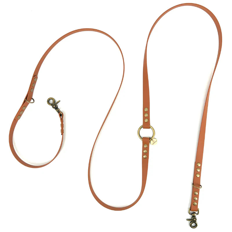 Laisses Multi-positions en Biothane pour Chiens