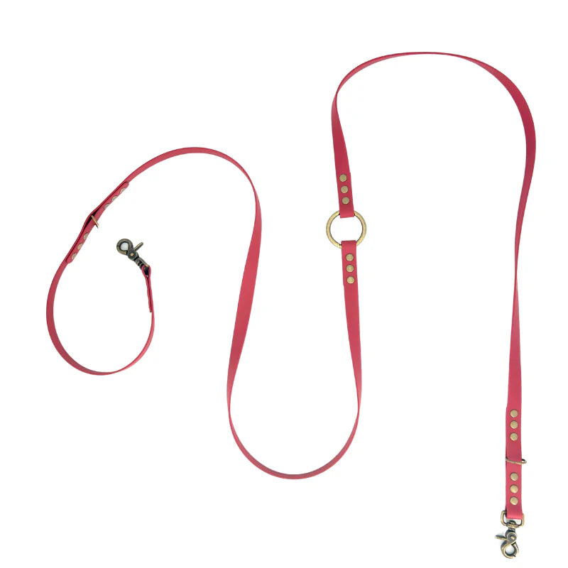 Laisses Multi-positions en Biothane pour Chiens