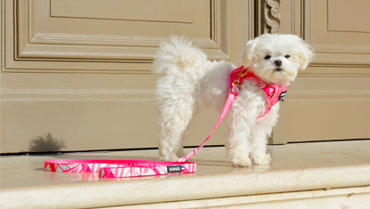 Harnais Pinky