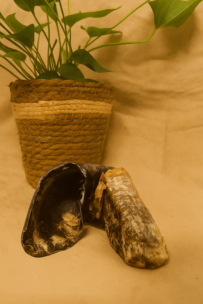 Beef shank bone