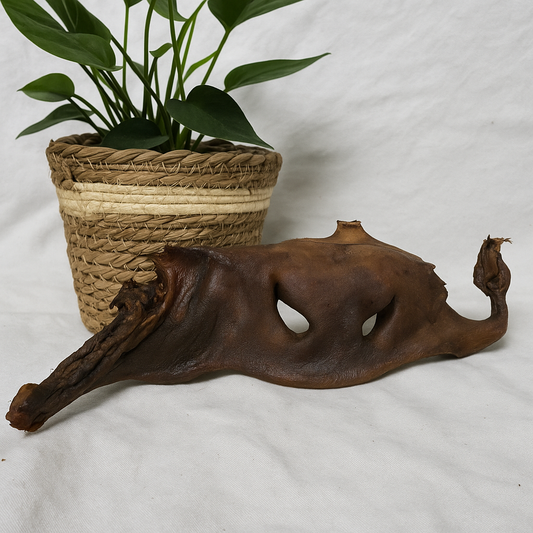 🐾 Museau de Bœuf XXL