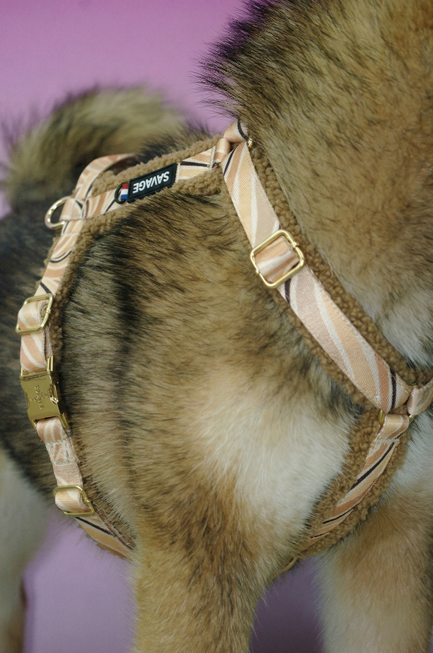 Harnais H - Sherpa dune