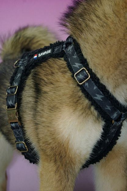 Harnais H - sherpa storm