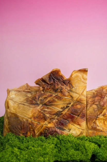 🦴 XXL Beef Skin Plate