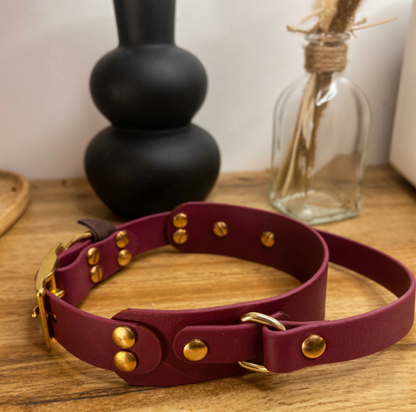 Collier à poignée RHUNE
