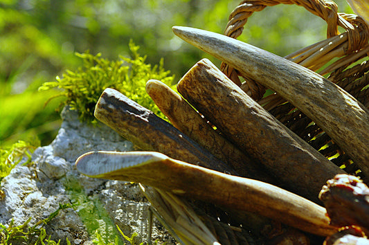 Bois de Cerf
