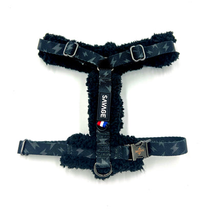 Harnais H - sherpa storm