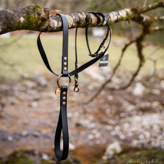 Laisse en BioThane® Classique