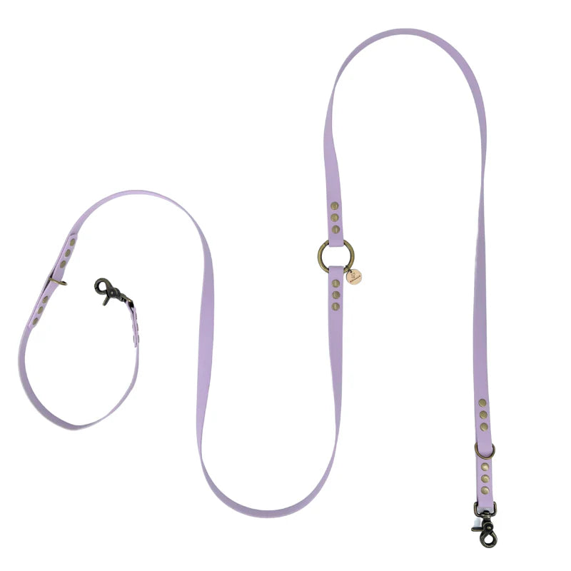 Laisses Multi-positions en Biothane pour Chiens