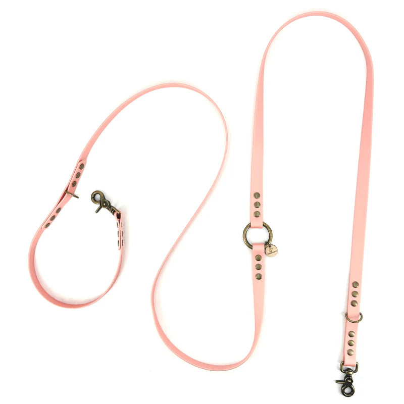 Laisses Multi-positions en Biothane pour Chiens
