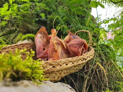 Oreille de porc